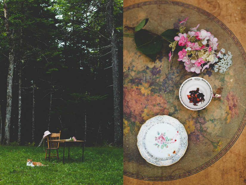 raspberry thyme scones diptych 10