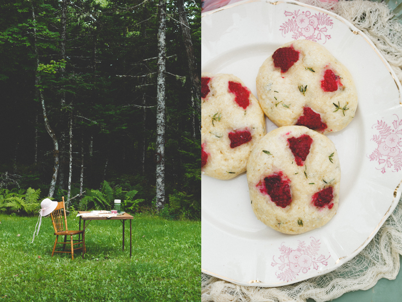 raspberry thyme scones diptych 2