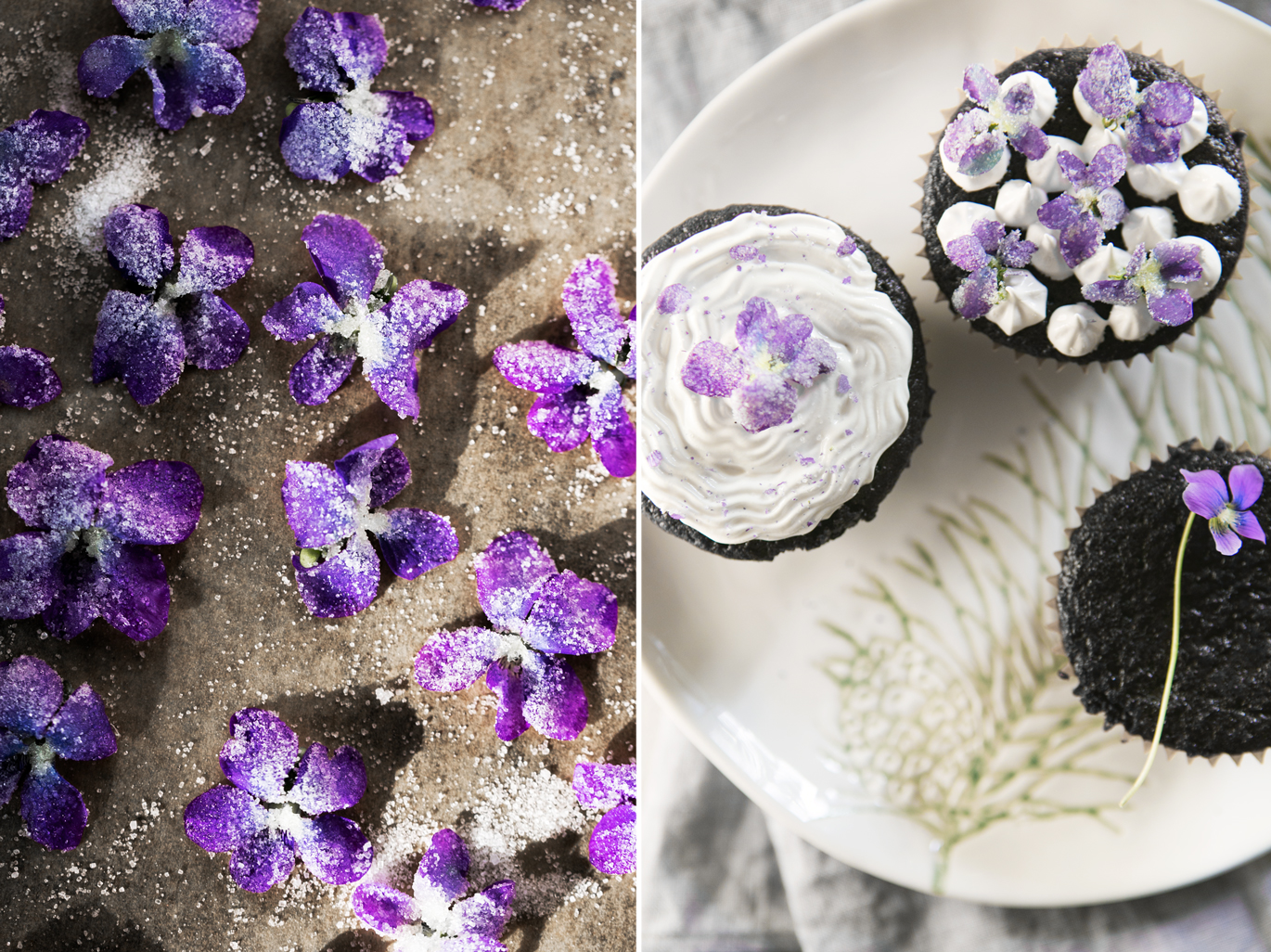 sugared violets chocolate cupcakes marshmallow icing